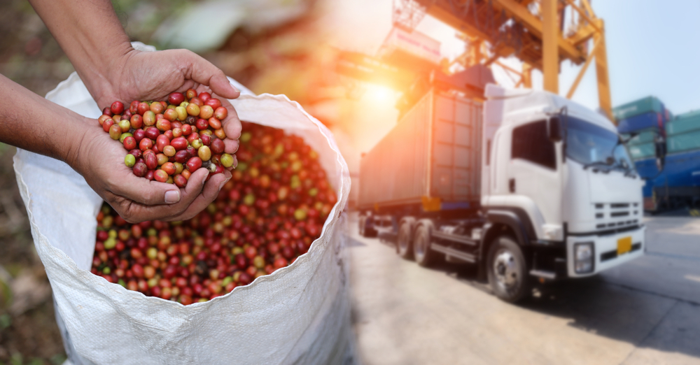 Red,Cherry,Coffee,Bean,Fruit,And,Food,Distribution,,Tropical,Fruit